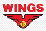 Wings Group